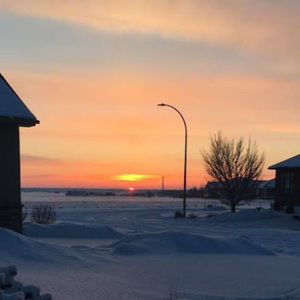 Meet your Posher, Shay